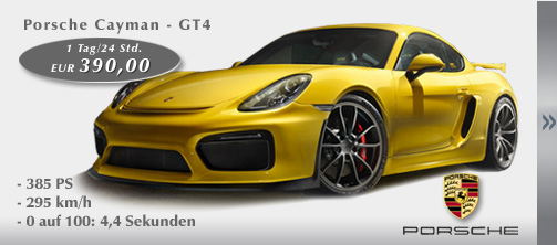 Info: Porsche Cayman GT4